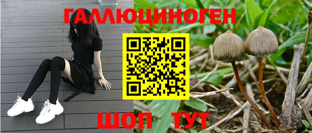 Галлюциногенные грибы мицелий  Псилоцибиновые грибы Cubensis  Вход с VPN  Саров 